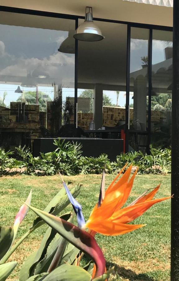 Hotel Cálido Cosmos